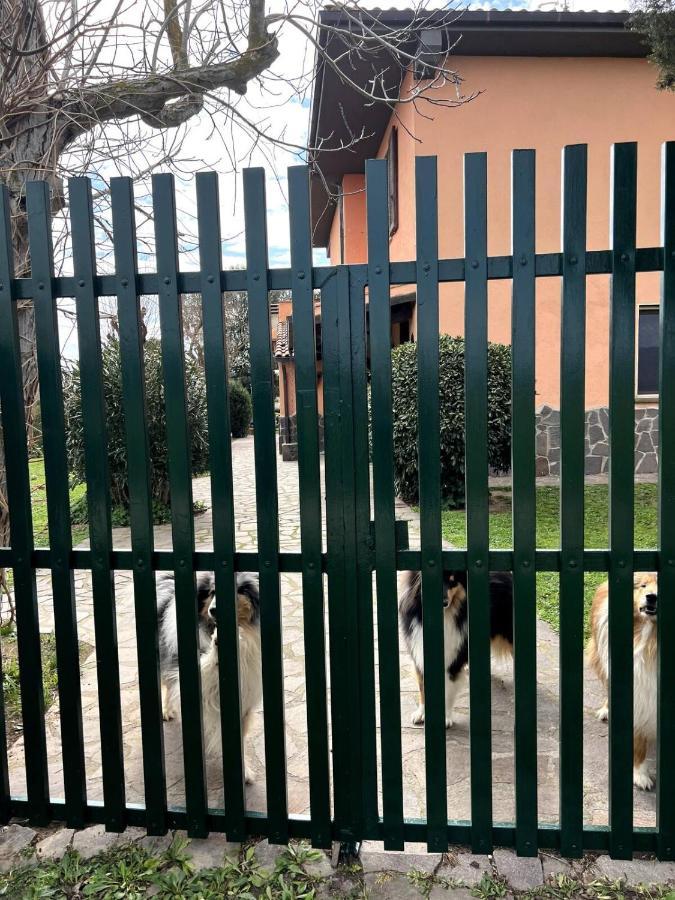 Apartamento Loc.Cioccaie Grosseto Exterior foto